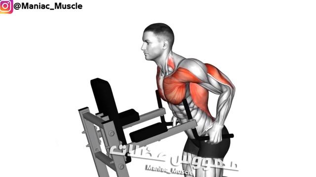 7 BEST EXERCISE LOWER CHEST WORKOUT 🔥 смотреть онлайн
