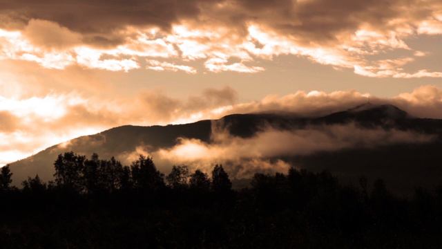 🔴 ГРУППА ПИКНИК ПАМЯТИ ЖЕРТВ 22 МАРТА в КРОКУС СИТИ смотреть онлайн