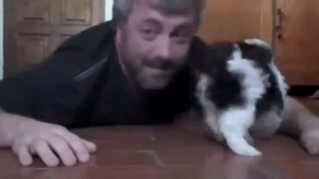 Щенок так старался понравиться хозяину Заряд позитива на весь день смотреть онлайн