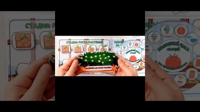 Огород на подоконнике Дневник наблюдений смотреть онлайн