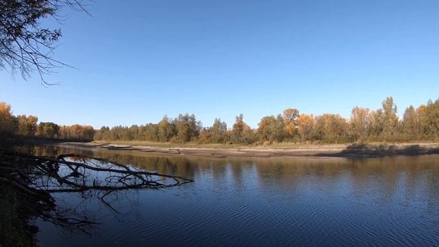 Рыбные Похождения