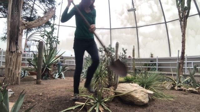 Conservatory Projects October 2019 смотреть онлайн