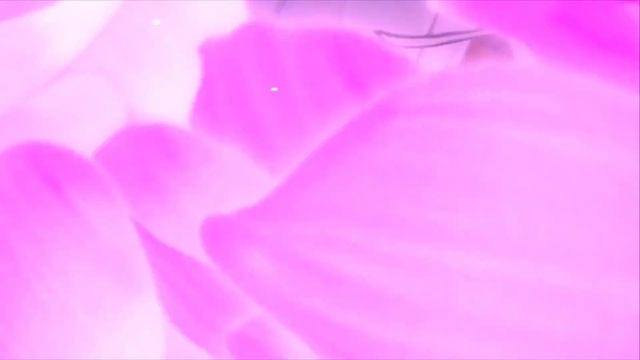 FGO JP - Illya's Castle 2023 Lotto event - 90++ node summer Kama смотреть онлайн