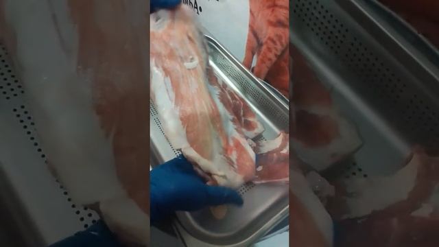 Пашина свиная смотреть онлайн