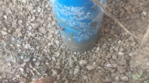 Омск. Обсыпка водяной скважины щебнем, установка трубы.