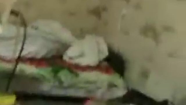 MVI0333 Полувоздушный трансформатор с двумя частотами. смотреть онлайн