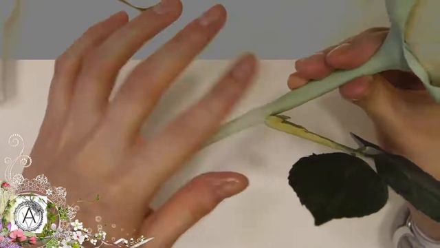 Rose Esperance video tutorial. 6 Path смотреть онлайн