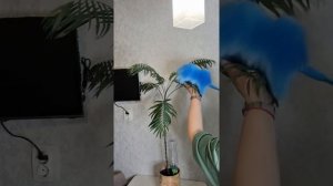 Зачем нужен пипидастр и что это такое