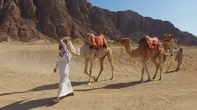 Египет ВЕСНОЙ 2023 ?? БУМ❗️ Стоит ли ЕХАТЬ на отдых в Египет в марте, апреле и мае. ПЛЮСЫ и МИНУСЫ! смотреть онлайн