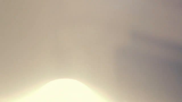 Коктейль Apriori от BACARDI смотреть онлайн