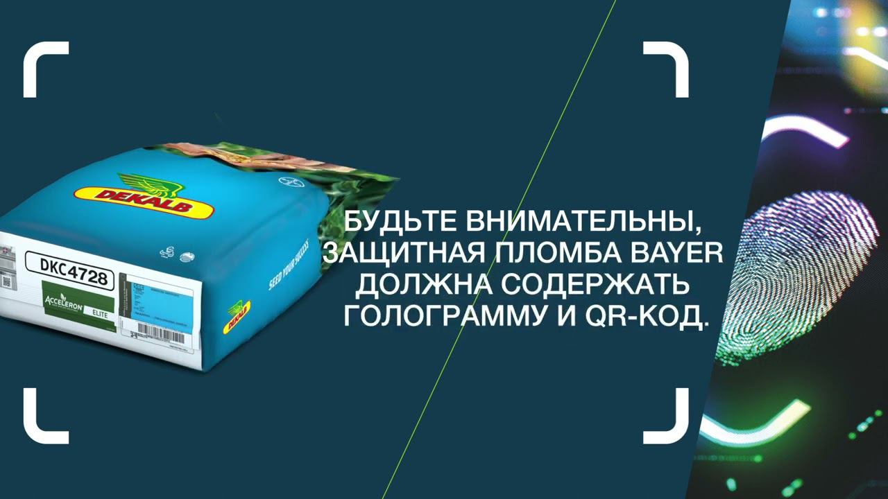 Adapt_CS смотреть онлайн
