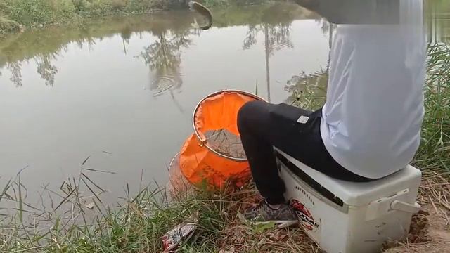 Херабуна.Рецепт для херабуны.