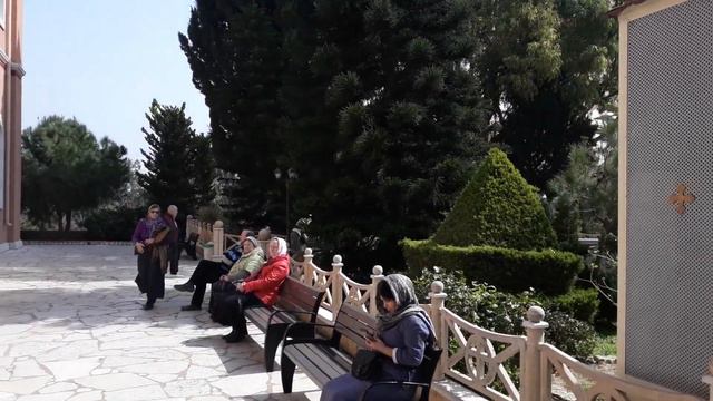 Тель авив. Огромное количество зеленых попугаев. смотреть онлайн