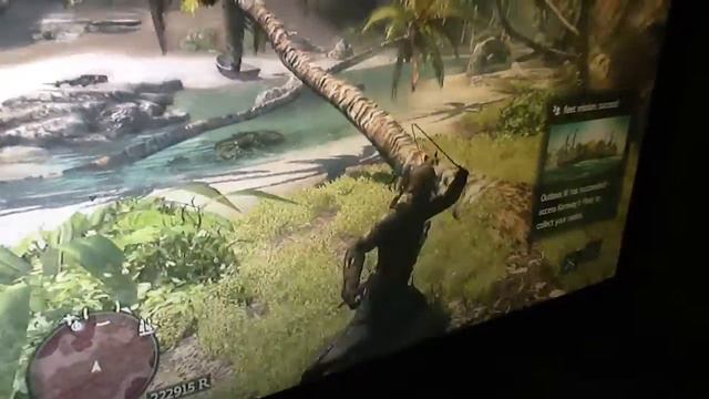 Assassins creed black flag ocelots gone wild смотреть онлайн