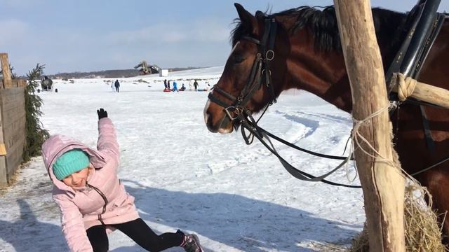 06.02.2021 Кудыкина гора смотреть онлайн