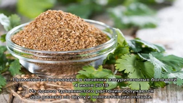 Записи с тегом 'кориандр' смотреть онлайн