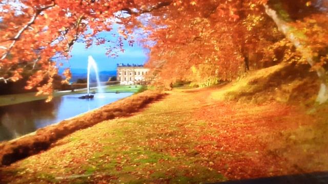 Сергей Есенин "Закружилась листва золотая..." смотреть онлайн