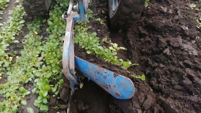 Пахота сидератов ,мотоблок МТЗ-05, без оператора смотреть онлайн