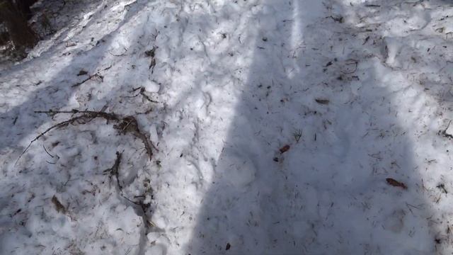 в избушку. 25.03.22 г. смотреть онлайн