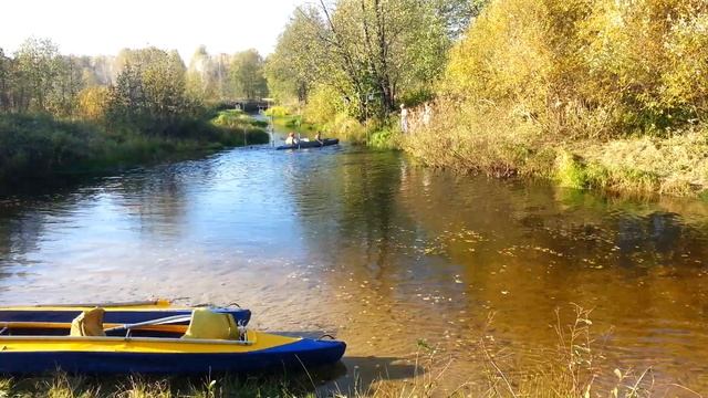 Тарасиха дистанция водная смотреть онлайн