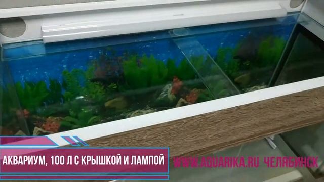 аквариум на 100 литров с крышкой и лампой AQUARIKA RU Челябинск смотреть онлайн
