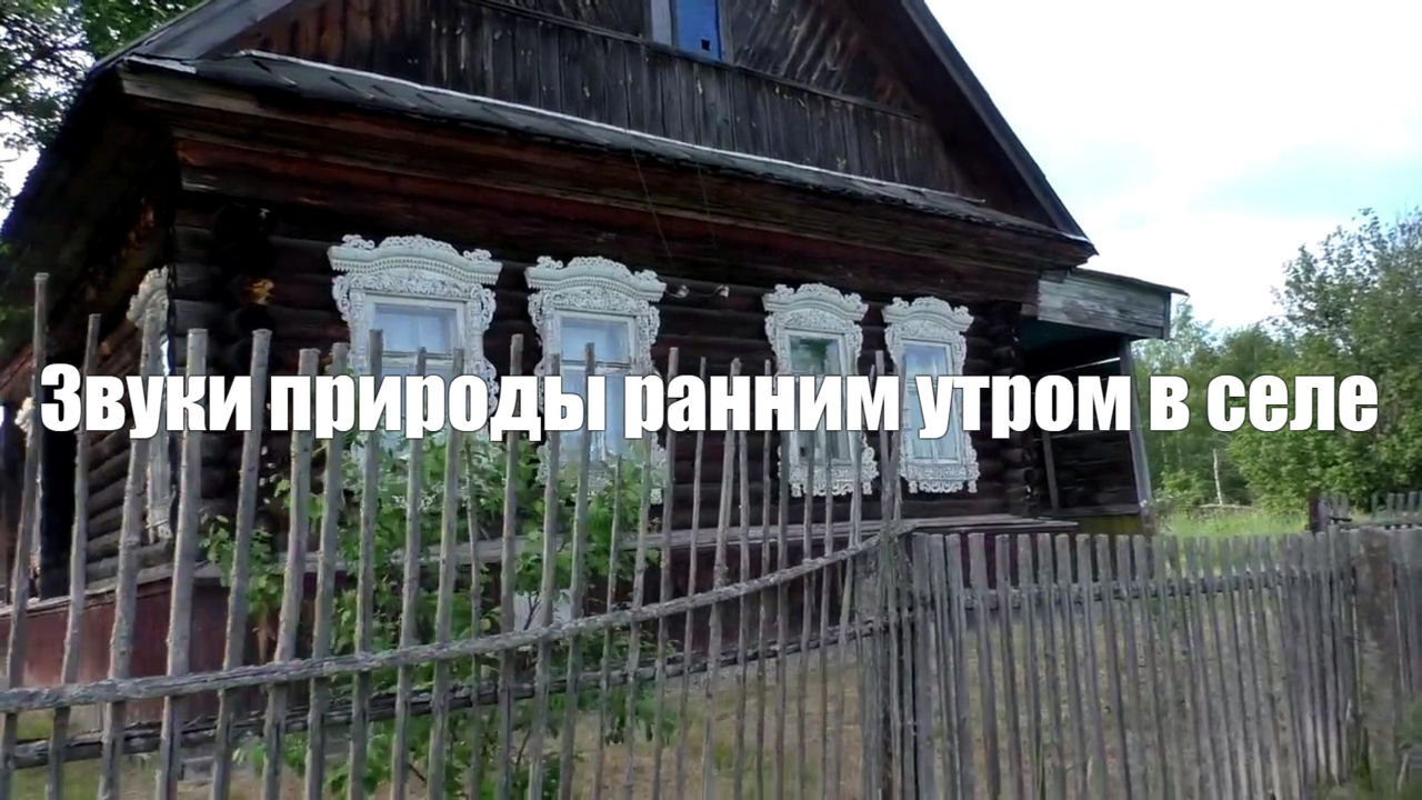 Звуки природы ранним утром в селе для отдыха. Пение птиц, звук домашних животных