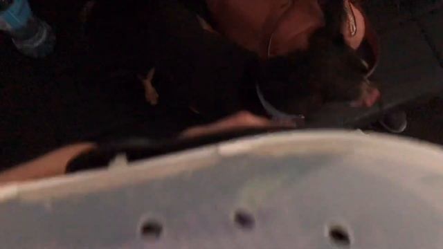 VLOG:Мой новый питомец|покупаю морскую свинку|морская свинка породы тедди|СВИНКИ с МОРЯ смотреть онлайн