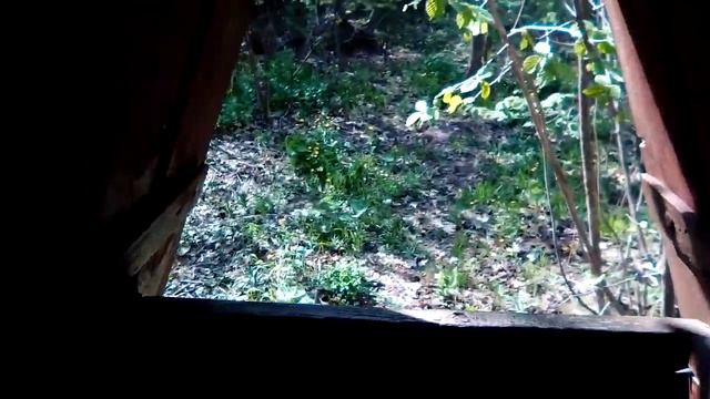 Идолы в лесу языческие смотреть онлайн