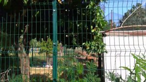 ELDAR RESORT HOTEL 4****(Турция. Гёйнюк), дорога на пляж.