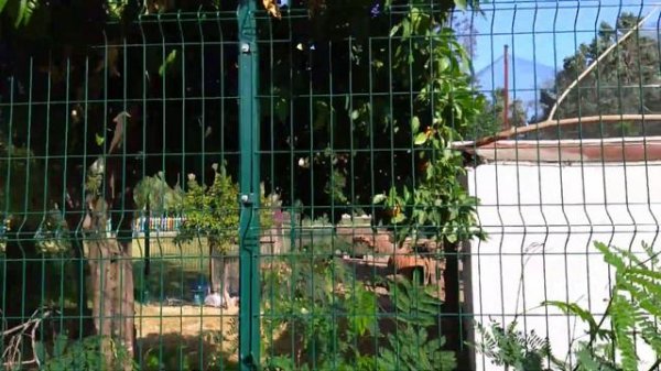 ELDAR RESORT HOTEL 4****(Турция. Гёйнюк), дорога на пляж.