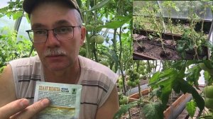 Хелат железа( не повторяйте чужих ошибок!!!))