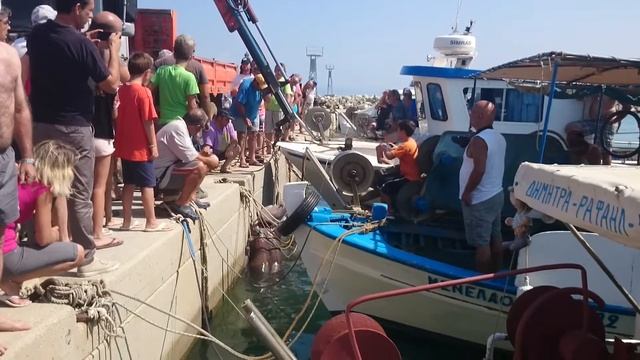 Акула в эгейском море смотреть онлайн