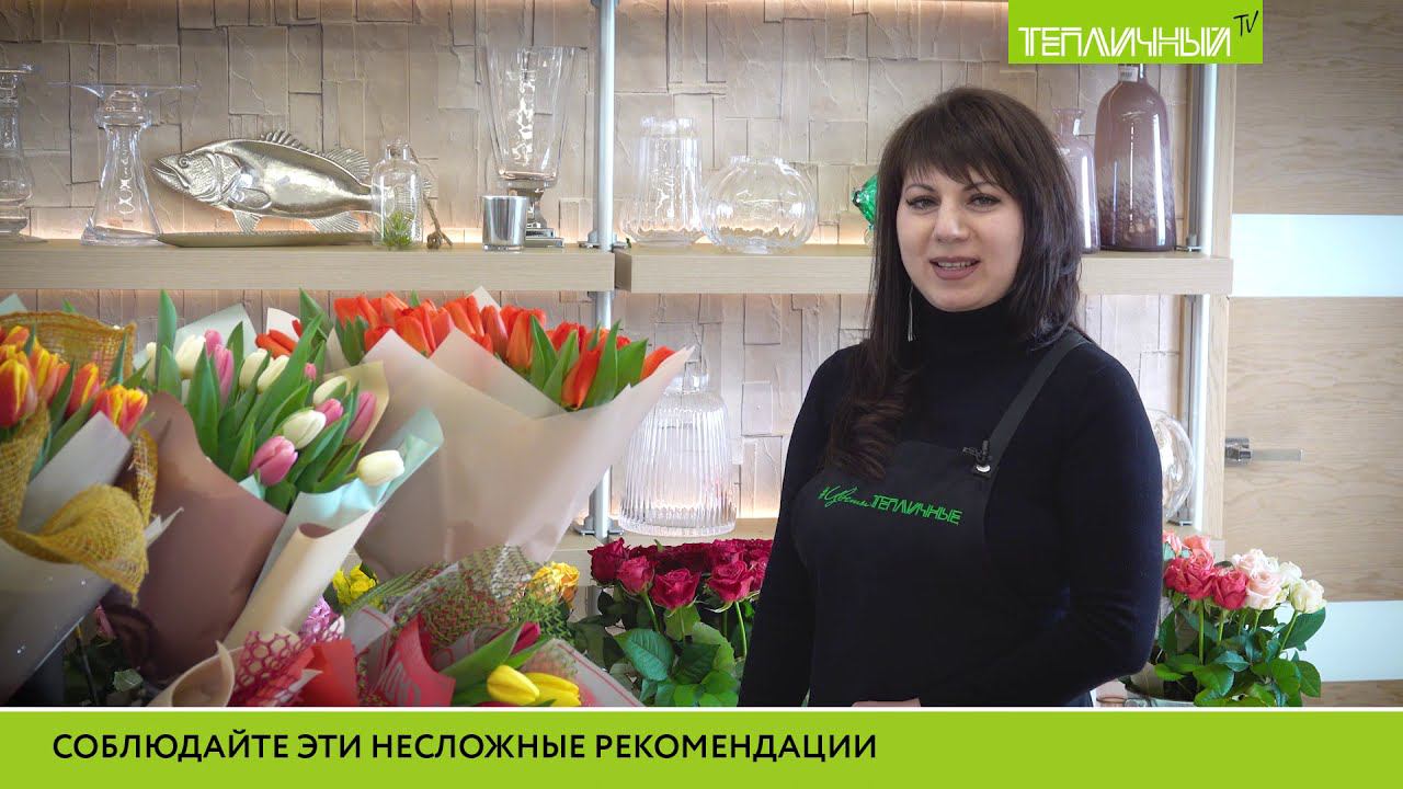 Советы флориста "Тепличного": Как продлить жизнь тюльпанам смотреть онлайн