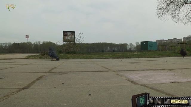 Весна Скворец Апрель 2014 смотреть онлайн