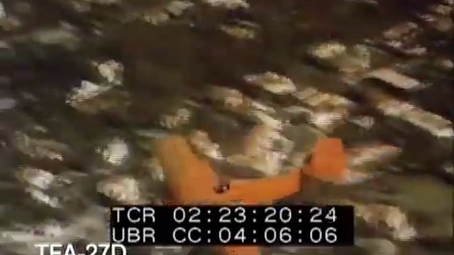 Wings Over The Golden Gate, 1930s смотреть онлайн