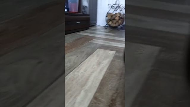 Черный шпиц флаинг смотреть онлайн