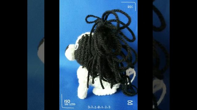 #щенок  породы Папильон.Papillon Dog.