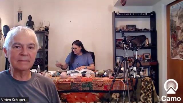 Part One: Vivien Schapera - How To Treat Shock Energetically