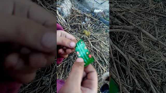 Фиолетовая бабочка смотреть онлайн