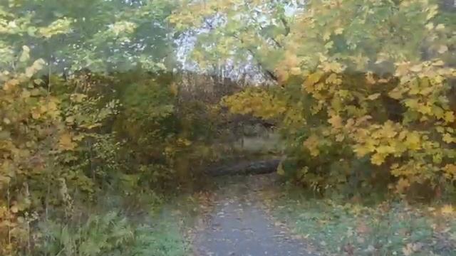 Фрязино. Барские пруды. смотреть онлайн