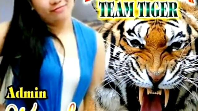 Fighting Tiger Reborn Team смотреть онлайн
