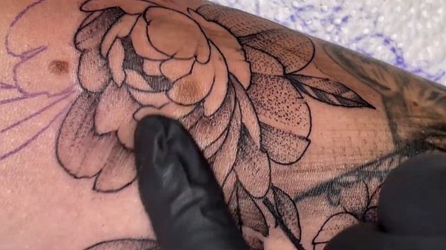 WHIP SHADING | TATTOOING смотреть онлайн