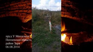 Наши уловы реки Цна, Выша, Истья, пруд у Михалыча, озеро Черное. Our catches in the rivers