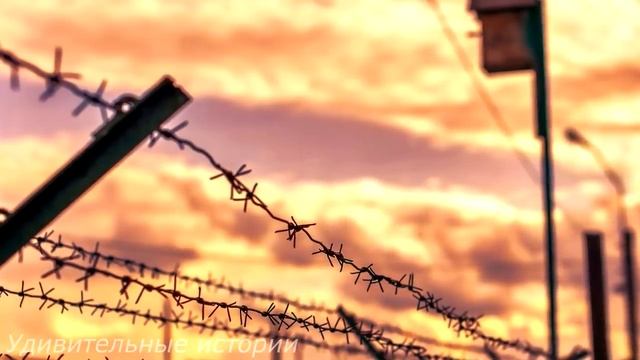 Получив срок из-за любовницы мужа, Лиза застыла на месте, узнав, в охраннике её бывшего жениха... смотреть онлайн