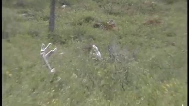 Up-close Archery Caribou Hunt Canada - Teterhorn смотреть онлайн