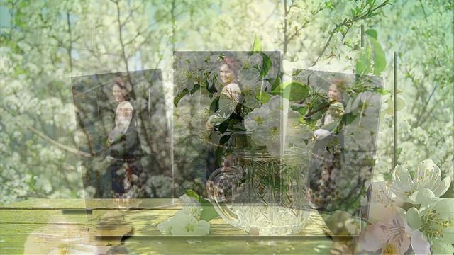 ProShow Producer Мамина вишня в саду автор работы ВАЛЕНТИНА СИМЧЕНКО смотреть онлайн