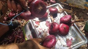 ТЕХНИКА ВЯЗКИ ЯЛТИНСКОГО ЛУКА! КРАСОТА!! КАК ПРАВИЛЬНО ВЯЗАТЬ КРЫМСКИЙ ЛУК