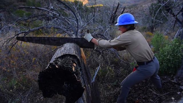 Leaders in Conservation | Emily Merlo смотреть онлайн
