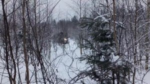 Буран 4тд Кохлер  на  делянке.