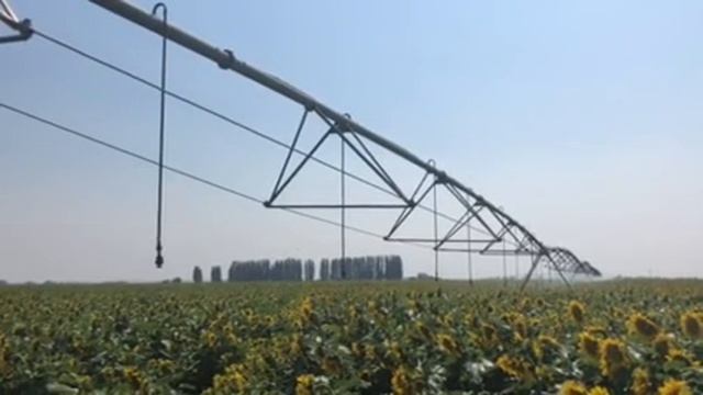 1990 Valley Pivot смотреть онлайн